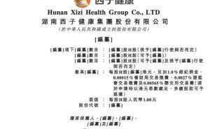 西子健康冲刺港交所上市 85后董事长刘健伟股权代持往事引关注