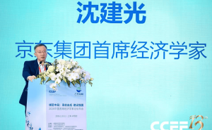 沈建光：农村消费潜力待挖 数字消费成城乡融合关键纽带