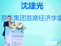 沈建光：农村消费潜力待挖 数字消费成城乡融合关键纽带