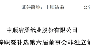 中顺洁柔刘鹏辞任董事长与总裁 职业经理人之路遇行业挑战