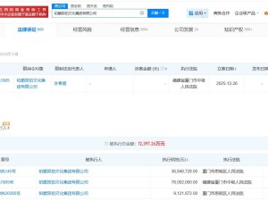 铂爵旅拍文化集团及法定代表人许春盛新增限制消费令