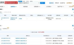 铂爵旅拍文化集团及法定代表人许春盛新增限制消费令 此前已被执行七千八百余万