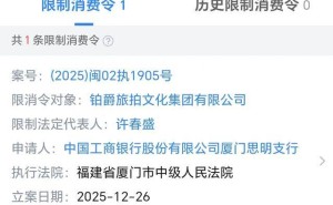 铂爵旅拍深陷债务危机：被执行超1.24亿，董事长同遭限消令