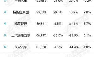 2025年新能源车企零售排名揭晓：小米入围前十，市场变革竞争加剧