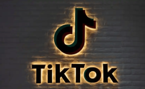 2026年大苗Tk跨境电商新手必看：四大避坑指南助你稳健入局