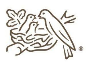 雀巢婴儿奶粉大规模召回 涉60国800余种产品 CEO公开致歉