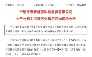 天普股份换届引问询：中昊芯英团队接任关键职位，业务规划存疑