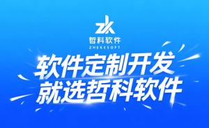 从需求到落地：专业软件定制开发如何赋能企业差异化竞争与高效运营
