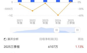 坤彩科技财务违规：延迟转固、存货跌价准备计提不准确被责令整改
