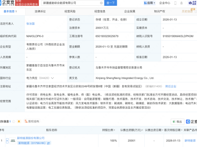 新特能源在新疆成立综合能源公司