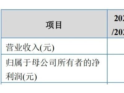 隆源股份拟募资扩产：新能源汽车业务崛起 毛利率却持续承压
