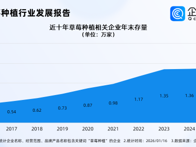 160一斤的黑草莓背后“产业密码”，国内超2成草莓种植相关企业在辽宁