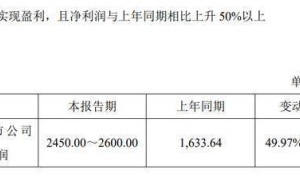龙竹科技2025年业绩预喜：净利增近六成，董事长代职显成效