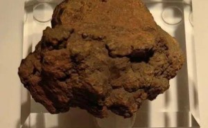 北师大新地质标本馆开馆啦！600余块珍品标本带你穿越地质时空