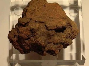 北师大新地质标本馆开馆啦！600余块珍品标本带你穿越地质时空