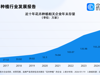 年宵花市场升温,国内超百万家花卉种植相关企业催热“年味”