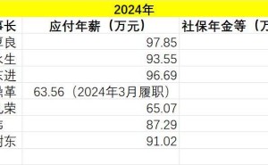 2024年能源化工央企董事长薪酬揭晓：“三桶油”领涨 业绩与薪资齐升