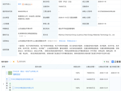 万华化学投资成立新能源材料科技公司