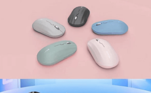 书香盈春共竞技！青岛市图书馆邀您以“语”为媒开启新年成长之旅