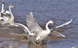 科技赋能生态守护：从卫星预警到深潜探秘，共筑美丽中国新防线