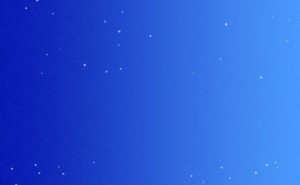 《疯狂动物城》寒假欢乐来袭，携手朱迪尼克开启趣味冒险之旅！