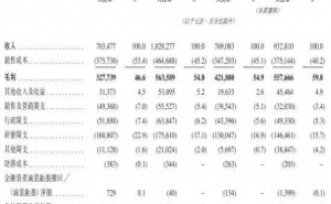 聚辰股份冲刺港交所：业绩增长显著，大客户依赖度高，陈东升雷军为间接股东