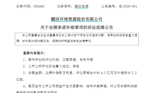 鹏欣资源起诉实控人兄弟索赔超26亿！昔日承诺赚19亿金矿，实际反亏超3亿