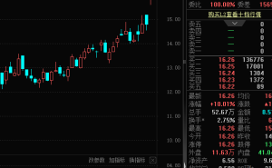 科达制造拟购特福国际股权复牌涨停 运机力星定增计划同步推进
