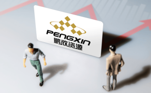 鹏欣资源起诉实控人姜照柏及董事姜雷 索赔超26亿元引关注