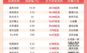 1月29日午间主力资金流向揭晓：蓝色光标领跑，贵州茅台等紧随其后