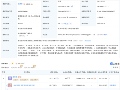 蚂蚁集团入股AI大模型技术研发商西湖心辰公司