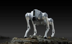 宇树科技机器狗成全球销冠：年售几万台占六成，自研技术成制胜关键