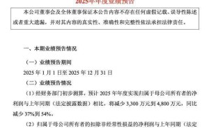 上纬新材2025年净利预降超三成 90后前华为“天才少年”彭志辉接任董事长