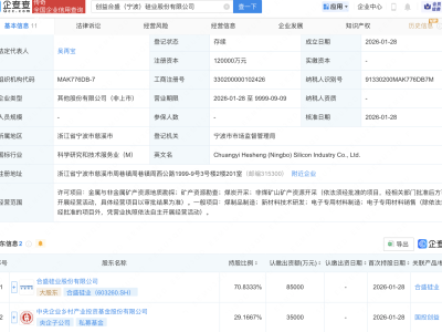 合盛硅业、央企乡村投资基金在宁波成立硅业公司,注册资本12亿
