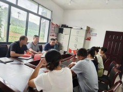 “金叶”铺就振兴路 深耕治理聚民心——民乐村的静默蜕变与希望答卷