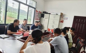 “金叶”铺就振兴路 深耕治理聚民心——民乐村的静默蜕变与希望答卷