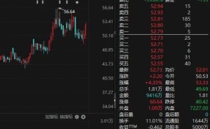 A股“00后”新势力登场！26岁哥伦比亚大学硕士金玺履新董事长