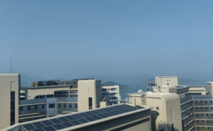 廖欣悦香港行：探秘AI前沿，领略Web3.0魅力，邂逅科技人文交融之美