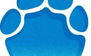 锅圈创始人杨明超掌舵宋河酒业，新团队引领品牌开启复苏新征程