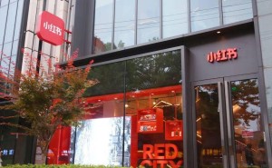 小红书入局AI：以“视频化+AI”双引擎，能否在竞争中开辟新增长曲线？