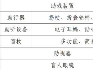 马年新春畅行江城！武汉无障碍出行全攻略，飞机火车地铁景区一路无忧