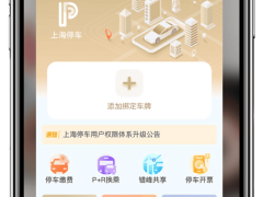 新国标出台！汽车车门把手迎安全变革 隐藏式设计隐患将得解决