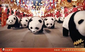 春晚舞台上的“魔法时刻”：具身智能落地，机器人开启真实服务新篇