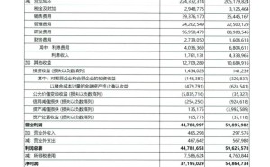 华为2025年销售收入突破8800亿，梁华称公司聚焦战略稳健经营