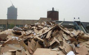 废纸堆里掘金梦:张茵从香港到美国,用坚韧书写商业传奇