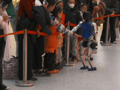 春节机器人消费热潮涌动：京东平台搜索量飙升，智能生活新纪元开启