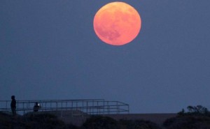 马斯克欲在月球建电磁弹射装置发射AI卫星，现实难度与争议并存