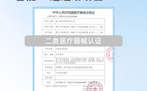 2026年助听器怎么选？4款实测好评产品推荐，帮老人找回清晰有声世界