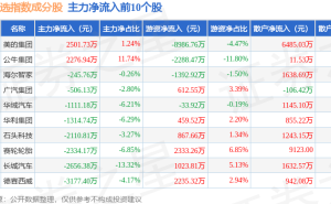 2月26日300可选指数微跌0.83% 石头科技领跌 华域汽车逆势上涨成亮点