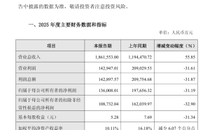 石头科技2025年营收劲增55.85% 净利润降31.19% 扩张期短期承压全球份额领先